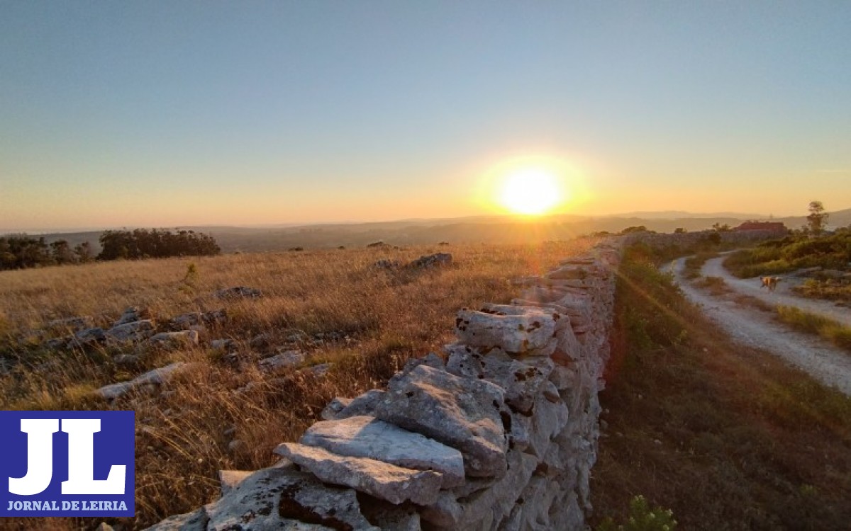 Jornal de Leiria Afinal é a Arte dos muros de pedra que candidata