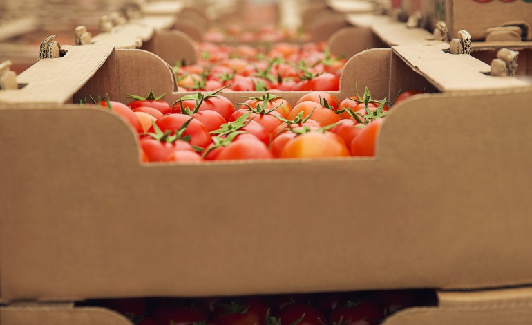 bluetech-das-caldas-da-rainha-debate-futuro-da-embalagem-agro-alimentar-em-lisboa
