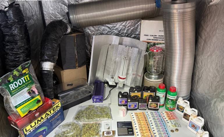 gnr-detem-homem-por-trafico-de-estupefacientes-em-mira-de-aire