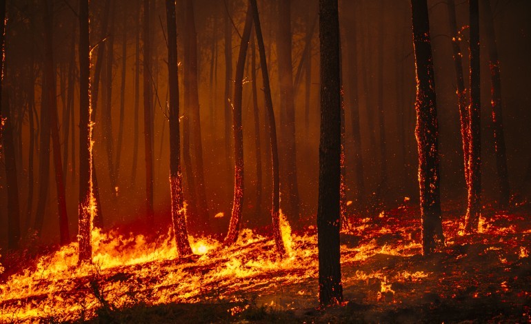fogo-obriga-a-evacuar-cinco-aldeias-de-pedrogao-grande
