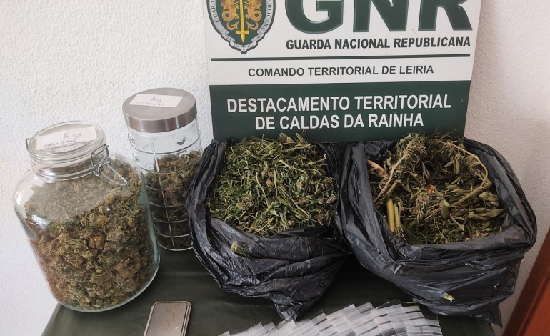 investigacao-da-gnr-levou-a-apreensao-de-550-doses-de-liamba-em-pataias