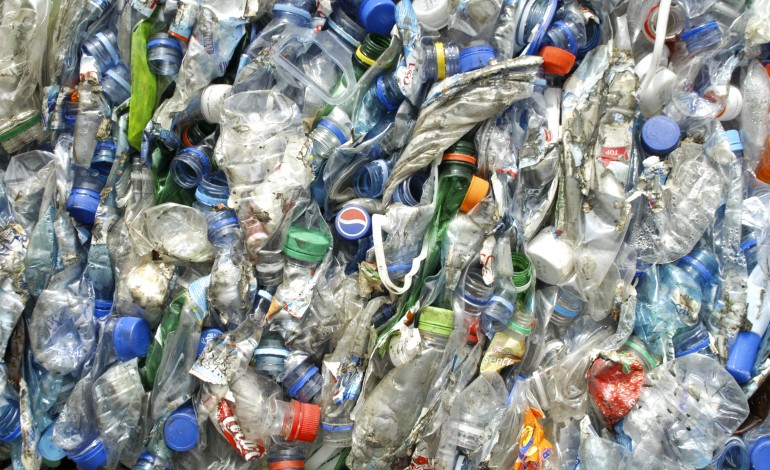 reciclagem-na-regiao-aumentou-5percent-com-a-recolha-do-papel-a-poupar-92-mil-arvores