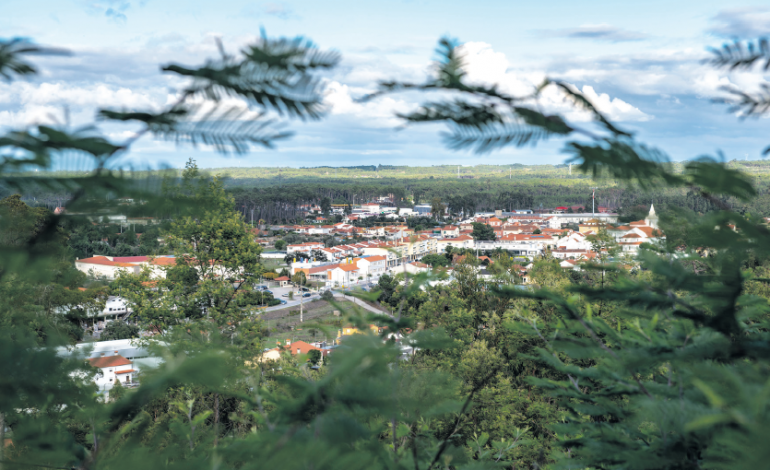 monte-redondo-funde-lotes-para-acolher-grandes-empresas
