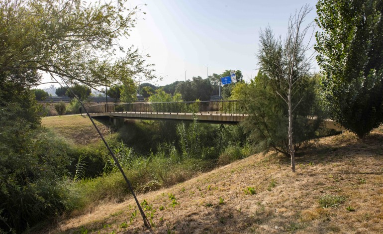 rio-lena-regista-niveis-de-poluicao-preocupantes-no-parque-verde-de-leiria