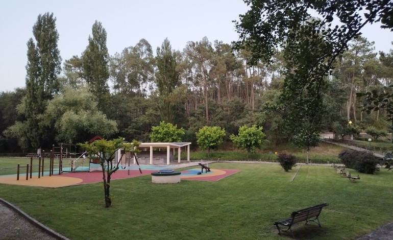 mais-de-130-criancas-ajudam-a-recuperar-parque-verde-da-boa-vista-apos-tempestade-kristin