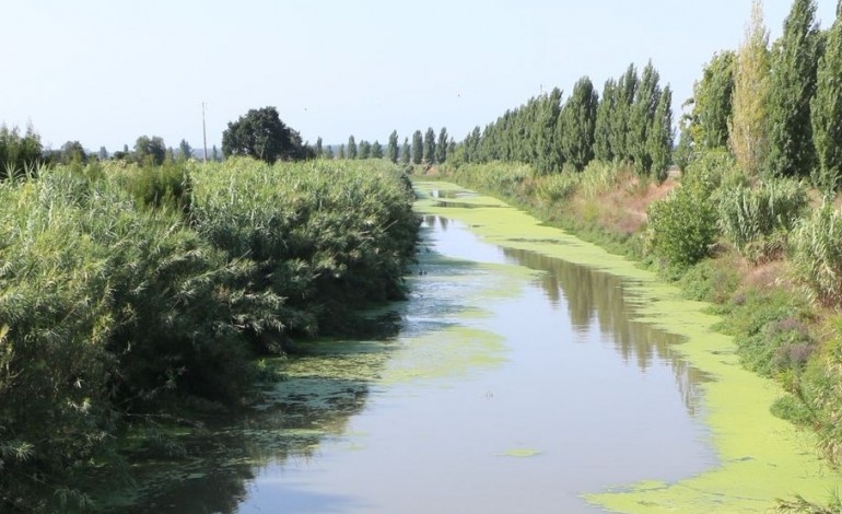 resolvida-avaria-em-estacao-e-descargas-para-o-rio-lis-em-leiria-terminaram