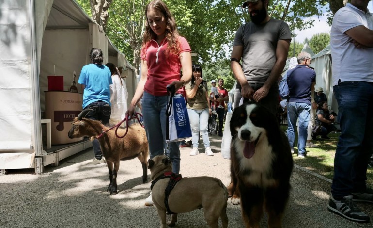 leirianimalia-regressa-no-fim-de-semana-ao-parque-do-aviao