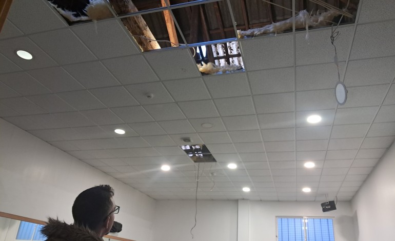 annarella-sanchez-vou-terminar-o-ano-lectivo-em-leiria-mas-depois-nao-sei