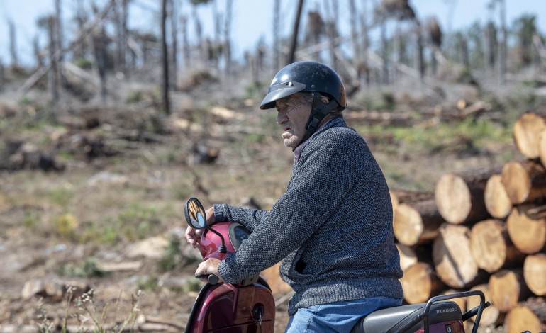 kristin-e-os-incendios-aceleram-a-desertificacao-da-regiao