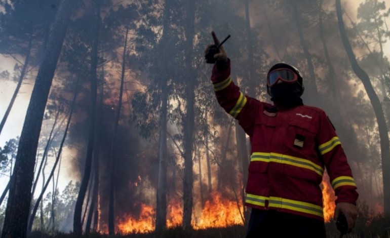 pj-de-leiria-detem-suspeita-de-atear-varios-incendios-em-ourem-9580