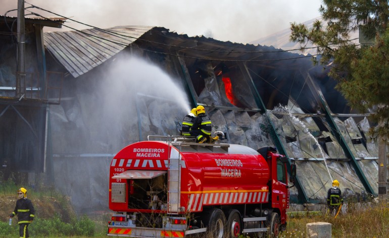 Fogo terá matado mais de 120 mil frangos