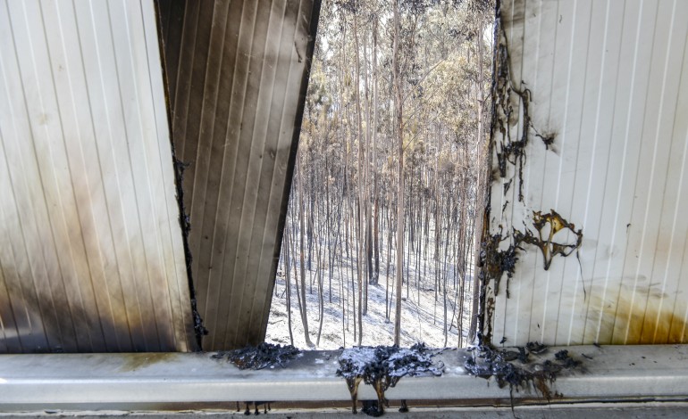 fogos-em-ourem-provocaram-danos-avaliados-em-753-mil-euros-sem-contar-floresta-e-agricultura