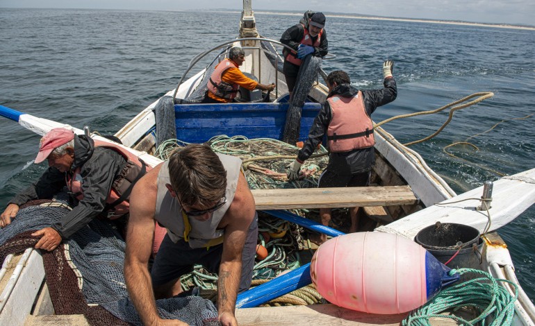 novo-estatuto-do-jovem-pescador