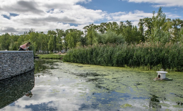 Abaixamento dos níveis freáticos na ribeira do Amparo impede renovação de água