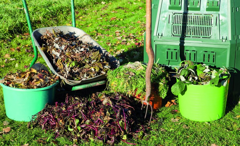 ourem-com-novo-servico-de-recolha-de-residuos-verdes-porta-a-porta