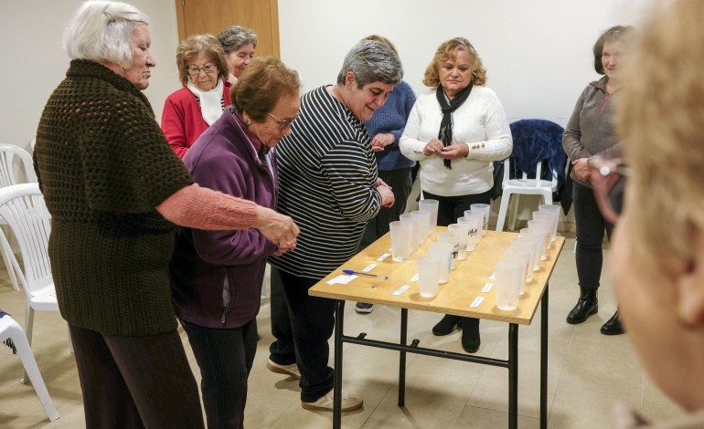 Projecto contempla actividades em grupo, mas também individuais