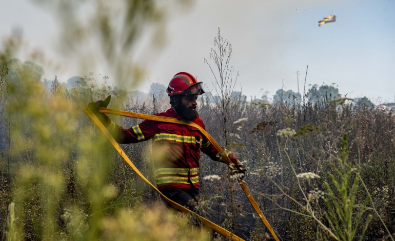 transito-circula-com-normalidade-na-a1-com-resolucao-de-incendio-em-pombal