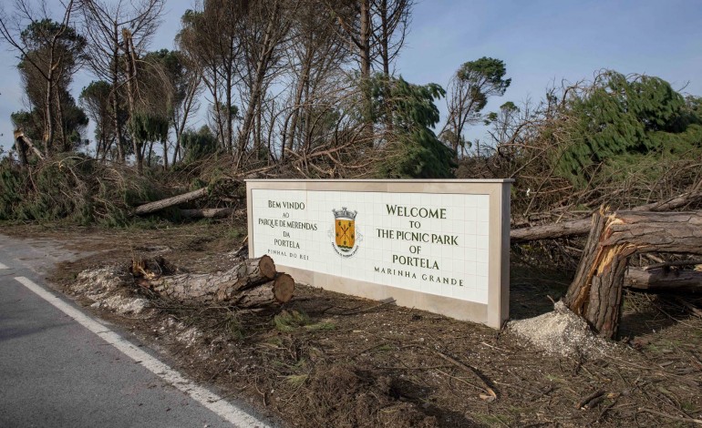 O vento não poupou a zona de lazer frequentada diariamente pela população