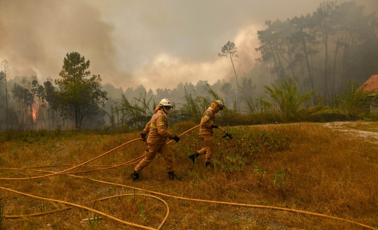 apos-incendios-de-2022-governo-excluiu-abiul-dos-apoios-dois-anos-depois-ajuda-chega-a-conta-gotas