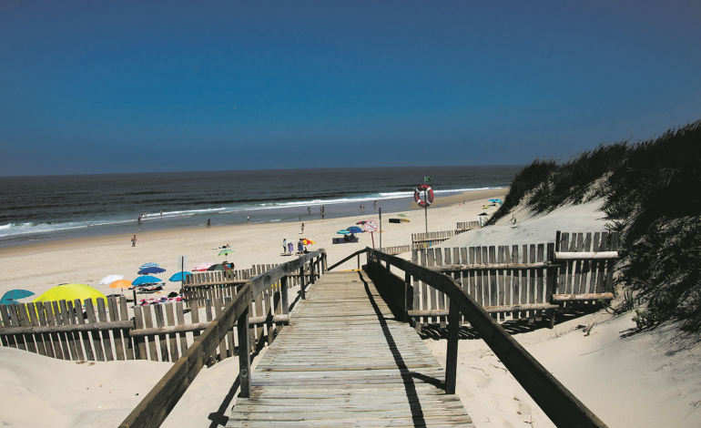 ministra-do-ambiente-da-luz-verde-a-praia-do-urso