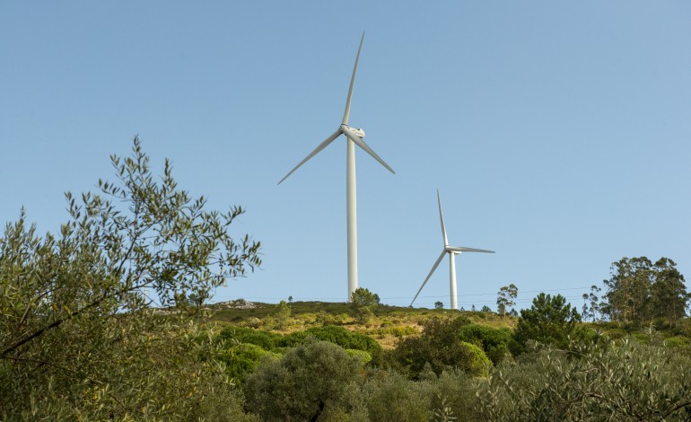 regiao-contesta-proposta-para-zonas-de-aceleracao-de-energia-renovaveis