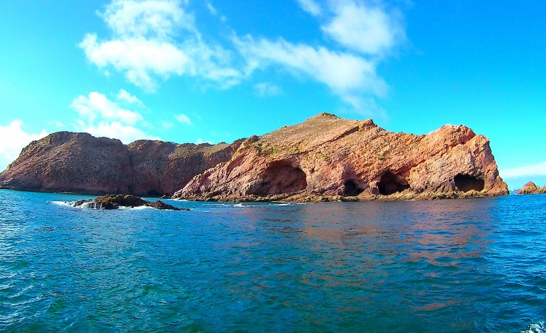 navegando-no-geoparque-oeste-leva-armeria-aos-farilhoes