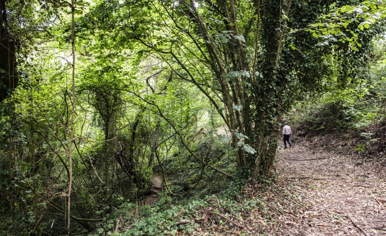 Estação de biodiversidade está aberta à comunidade