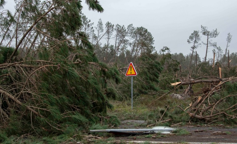 Várias estradas do pinhal estão intransitáveis