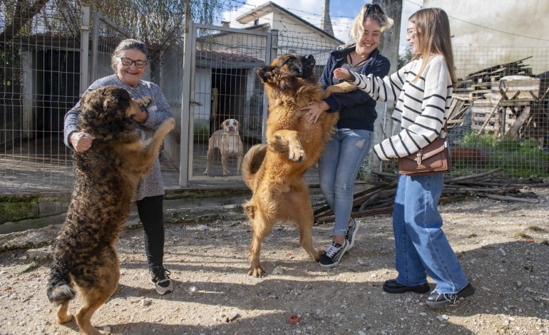 Fátima e Mariline Mota e Raquel Santos