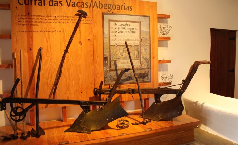 agromuseu-recolhe-historias-e-memorias-da-ortigosa