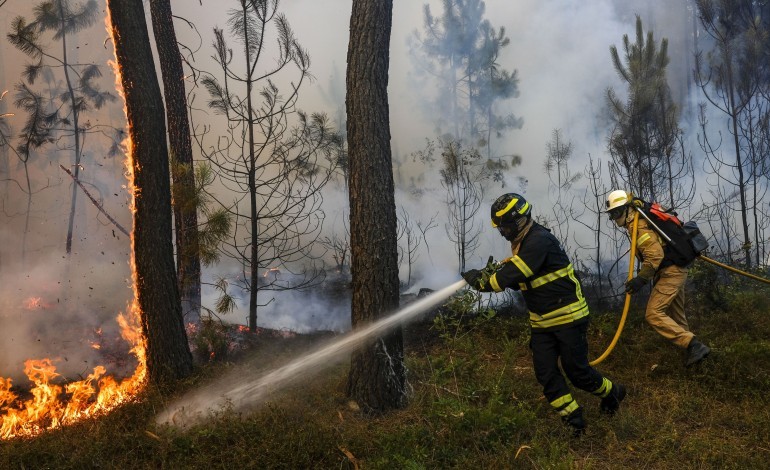 vento-complicou-incendio-em-ourem-que-tem-uma-frente-activa