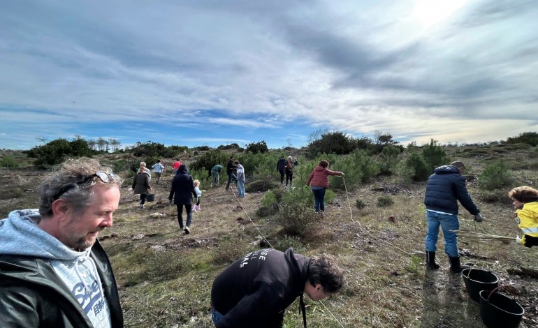 Voluntários aproveitaram a época mais propícia do ano para proceder à plantação de árvores