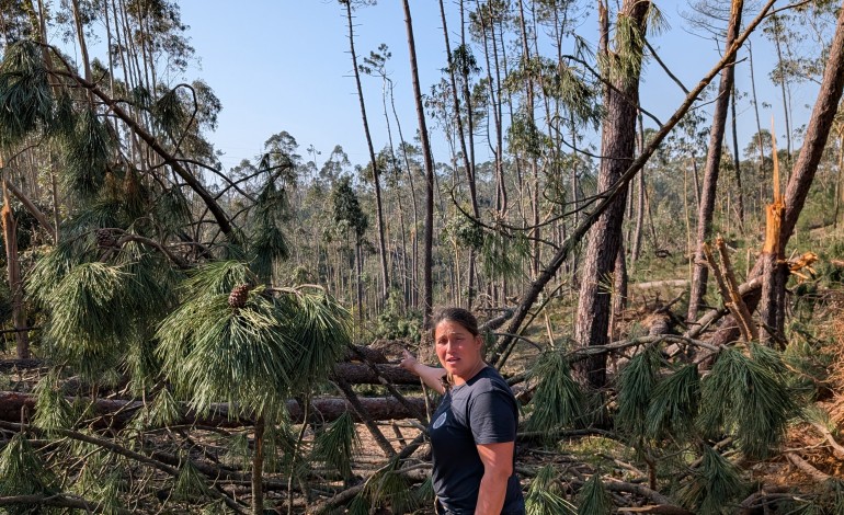 Margarida Domingues junto a um caminho florestal completamente impedido usado pelos bombeiros