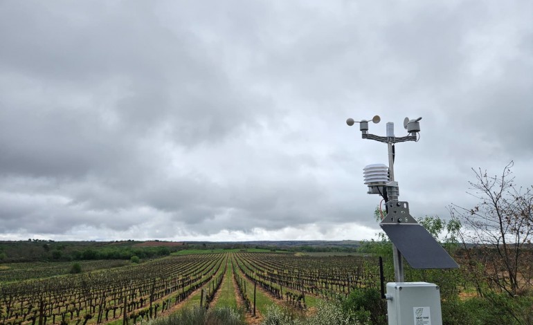 dos-drones-a-ia-a-agricultura-esta-cada-vez-mais-dependente-da-tecnologia