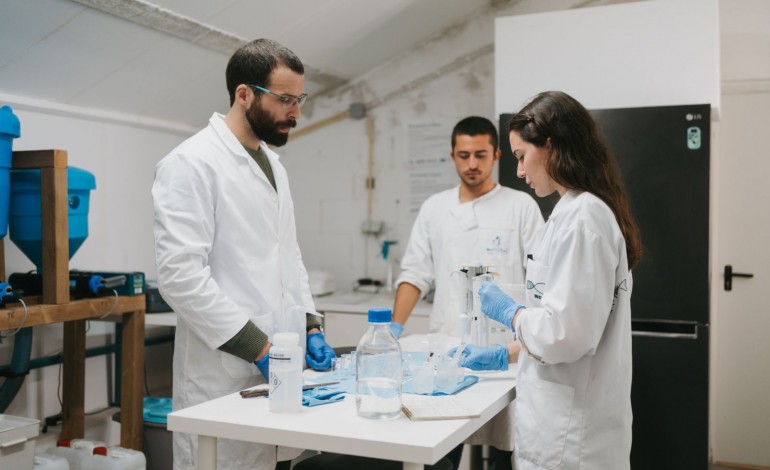 194 milhões de euros é a avaliação total atingida pelas startups ligadas ao mar