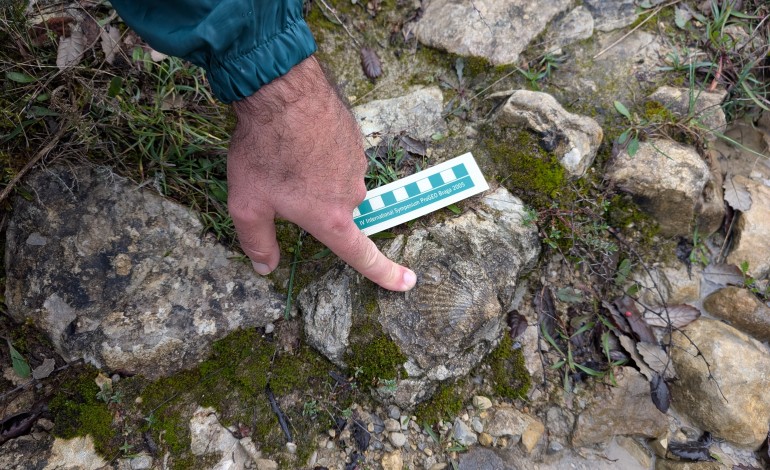 João Forte caminhou cerca de 1700 kms sem sair de Ansião