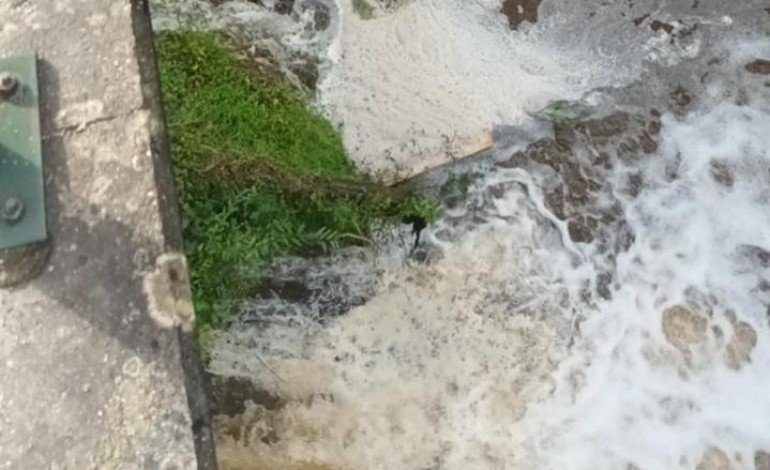 denunciada-nova-descarga-poluente-na-ribeira-dos-milagres-em-leiria