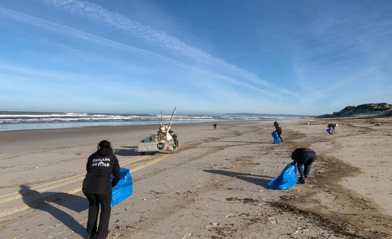 Voluntários da Brigada do Mar limpam praias entre São Pedro e a Figueira da Foz