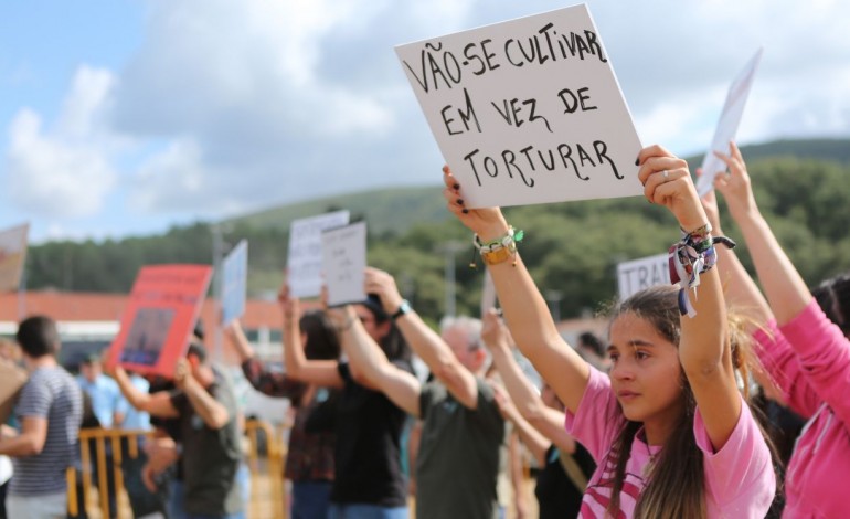 manifestantes-anti-tourada-queixam-se-de-agressoes-10483