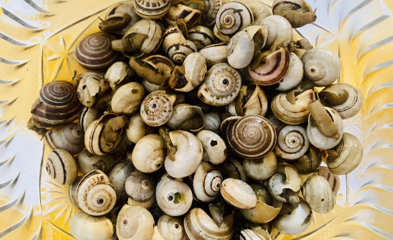 clima-e-reducao-do-poder-de-compra-atrasam-negocio-do-caracol