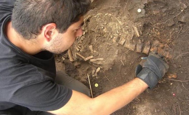 descoberta-sepultura-na-vertente-norte-do-castelo-de-leiria