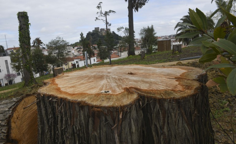 da-monocultura-ao-mosaico-transformar-a-paisagem-passa-tambem-por-apadrinhar-uma-arvore