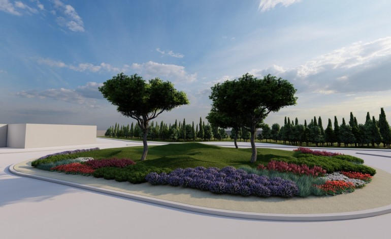 pinheiros-mansos-vao-decorar-rotunda-do-vidreiro-em-homenagem-ao-pinhal-da-regiao