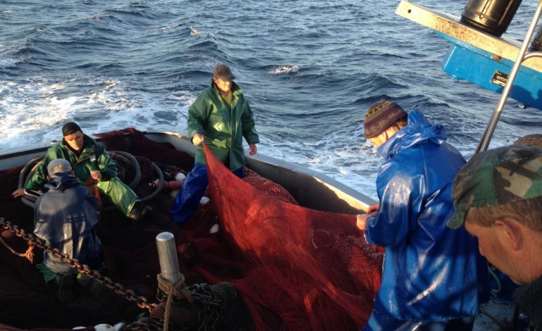 pescadores-do-cerco-contestam-reducao-de-quotas-de-pesca