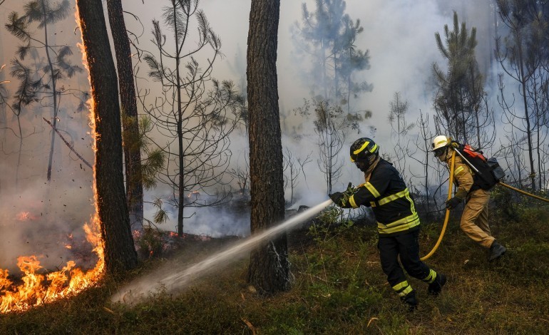 incendios-a13-cortada-entre-os-nos-de-alvaiazere-e-cabacos