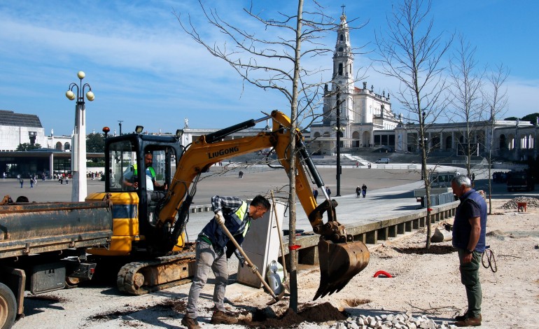 santuario-de-fatima-inicia-plano-de-reaborizacao-do-recinto-de-oracao