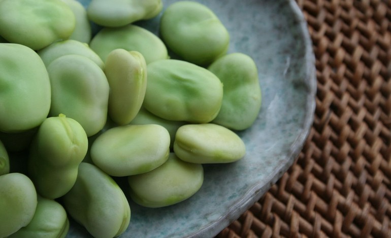 festival-da-fava-de-regresso-a-meirinhas