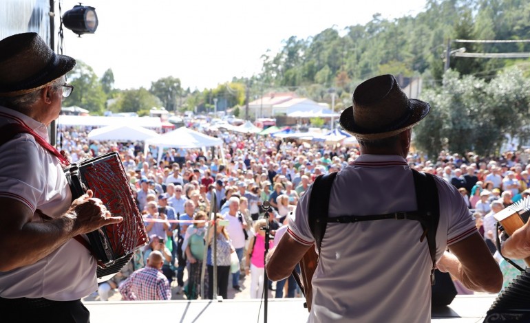 concertinas-700-tocadores-esperados-na-barrenta