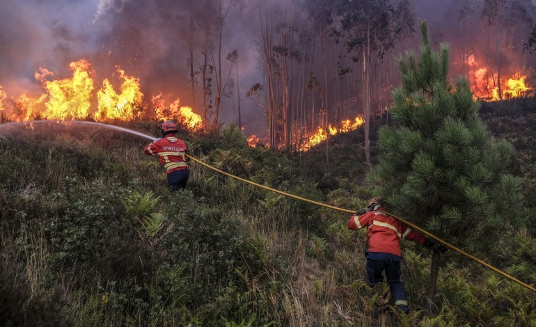 autarquias-mantem-preocupacao-com-carta-de-perigosidade-de-incendio-rural