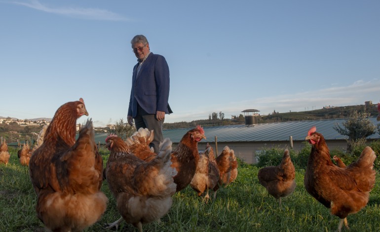 empresa-das-galinhas-mais-felizes-de-portugal-com-vendas-recorde-de-90-milhoes-de-euros